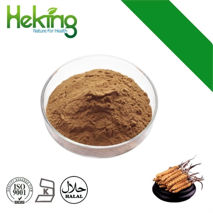 Estratto di Cordyceps Sinensis